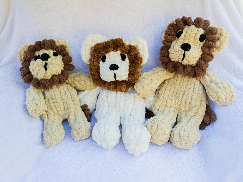 Zara Lion - Image 2